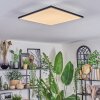 Barullu Plafonnier, Panel LED Noir, Blanc, 1 lumière