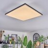 Barullu Plafonnier, Panel LED Noir, Blanc, 1 lumière