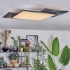 Barullu Plafonnier, Panel LED Noir, Blanc, 1 lumière