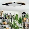 Barullu Plafonnier, Panel LED Noir, Blanc, 1 lumière