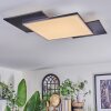 Barullu Plafonnier, Panel LED Noir, Blanc, 1 lumière