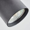 Udena Plafonnier LED Noir, 1 lumière