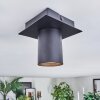 Udena Plafonnier LED Noir, 1 lumière