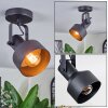 Tylar Plafonnier, Spot de plafond Noir, 1 lumière