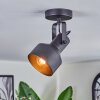 Tylar Plafonnier, Spot de plafond Noir, 1 lumière
