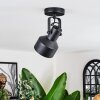 Tylar Plafonnier, Spot de plafond Noir, 1 lumière