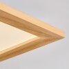 Belan Plafonnier, Panel LED Écru, Blanc, 1 lumière