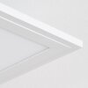 Belan Plafonnier, Panel LED Blanc, 1 lumière