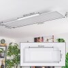 Belan Plafonnier, Panel LED Blanc, 1 lumière