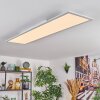 Belan Plafonnier, Panel LED Blanc, 1 lumière