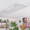 Belan Plafonnier, Panel LED Blanc, 1 lumière
