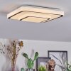 Borin Plafonnier LED Gris, Blanc, 1 lumière