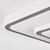 Borin Plafonnier LED Gris, Blanc, 1 lumière