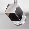 Danil Plafonnier, Spot de plafond LED Nickel mat, 6 lumières