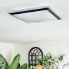 Castasegna Plafonnier, Panel LED Noir, Blanc, 1 lumière