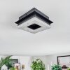 Walon Plafonnier LED Noir, 1 lumière