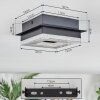 Walon Plafonnier LED Noir, 1 lumière