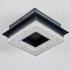 Walon Plafonnier LED Noir, 1 lumière
