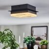 Walon Plafonnier LED Noir, 1 lumière
