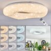 Zuril Plafonnier LED Blanc, 1 lumière, Télécommandes