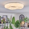 Zuril Plafonnier LED Blanc, 1 lumière, Télécommandes