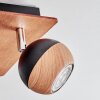 Haldor Plafonnier, Spot de plafond Chrome, Couleur bois, Noir, 4 lumières