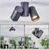 Daril Plafonnier, Spot de plafond Noir, 2 lumières
