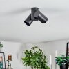 Daril Plafonnier, Spot de plafond Noir, 2 lumières