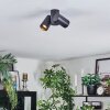 Daril Plafonnier, Spot de plafond Noir, 2 lumières