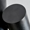 Daril Plafonnier, Spot de plafond Noir, 2 lumières