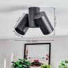 Daril Plafonnier, Spot de plafond Noir, 2 lumières