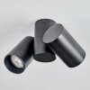 Daril Plafonnier, Spot de plafond Noir, 2 lumières