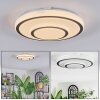 Borin Plafonnier LED Gris, Blanc, 1 lumière
