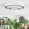 Borin Plafonnier LED Gris, Blanc, 1 lumière