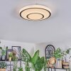 Borin Plafonnier LED Gris, Blanc, 1 lumière