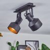 Tylar Plafonnier, Spot de plafond Noir, 2 lumières