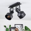 Tylar Plafonnier, Spot de plafond Noir, 2 lumières