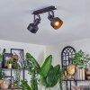 Tylar Plafonnier, Spot de plafond Noir, 2 lumières