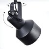 Tylar Plafonnier, Spot de plafond Noir, 3 lumières