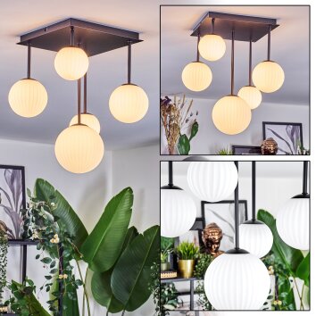 Chehalis Plafonnier, Boule lumineuse Blanc, 5 lumières