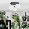 Gastor Plafonnier, Boule lumineuse Blanc, 3 lumières