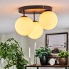 Gastor Plafonnier, Boule lumineuse Blanc, 3 lumières