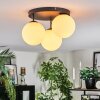 Gastor Plafonnier, Boule lumineuse Blanc, 3 lumières