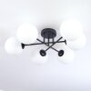 Gastor Plafonnier, Boule lumineuse Blanc, 6 lumières