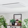 Zuren Plafonnier, Panel LED Blanc, 1 lumière, Changeur de couleurs