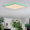 Zuren Plafonnier, Panel LED Blanc, 1 lumière, Changeur de couleurs