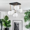 Gastor Plafonnier, Boule lumineuse Or, Noir, 5 lumières