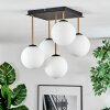 Gastor Plafonnier, Boule lumineuse Or, Noir, 5 lumières