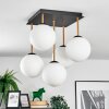 Gastor Plafonnier, Boule lumineuse Or, Noir, 5 lumières