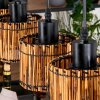 Cando Suspension, Suspension Écru, Noir, 4 lumières